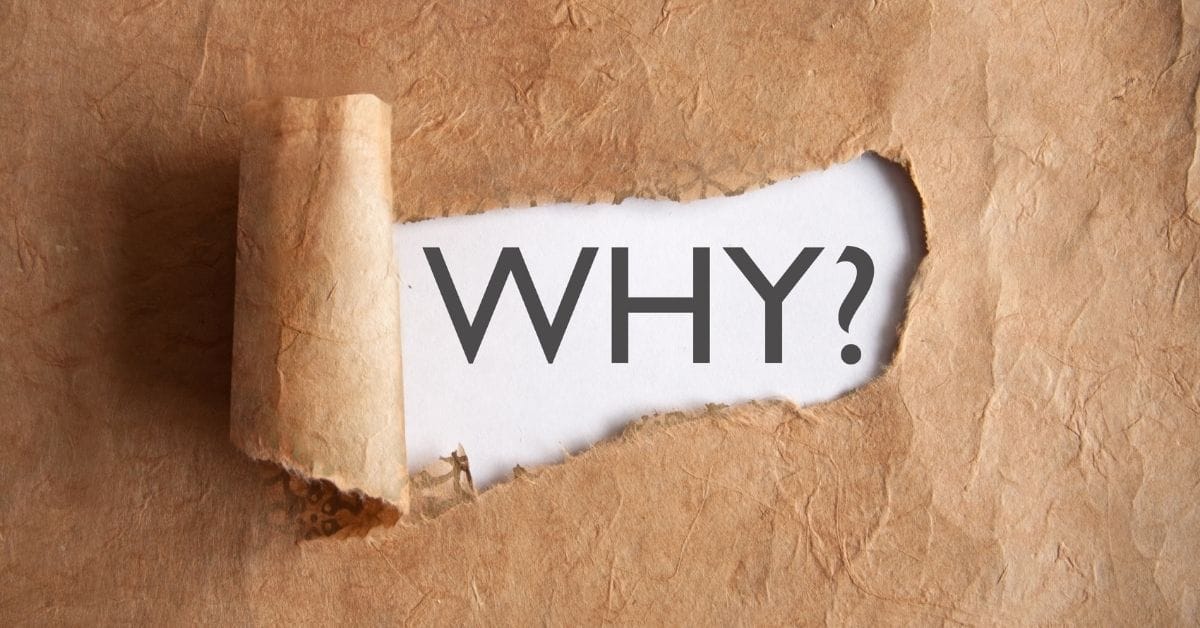 Read more about the article What Is the WHY Behind Your Business?